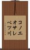 コノエオサレベツ川 Scroll