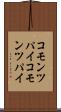 コモンツパイ Scroll