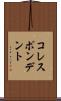 コレスポンデント Scroll