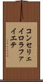 コンセリェイロラファイエテ Scroll