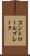 コントロールブレーク Scroll