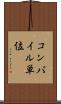 コンパイル単位 Scroll