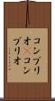 コンブリオ(P) Scroll