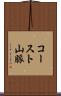 コースト山脈 Scroll