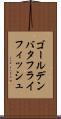 ゴールデンバタフライフィッシュ Scroll