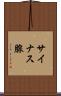 サイナス腺 Scroll