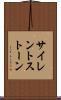 サイレント・ストーン Scroll