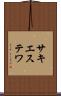 サキエステワ Scroll