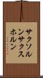 サクソルン Scroll