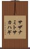サザナミトサカハギ Scroll