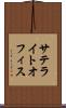 サテライトオフィス Scroll