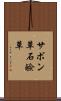 サボン草 Scroll