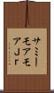 サミーモアモアＪｒ． Scroll
