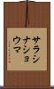 サラシナショウマ Scroll