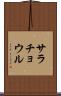 サラチョウル Scroll