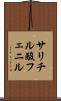 サリチル酸フェニル Scroll