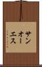 サンオーエス Scroll