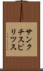 サンクチスピリツス Scroll