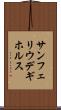 サンフェリウデギホルス Scroll