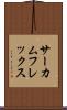 サーカムフレックス Scroll