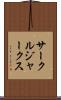 サークル・ジャークス Scroll