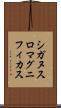 シガヌスロマグニフィカス Scroll