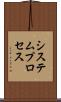 システムプロセス Scroll