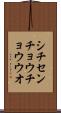シチセンチョウチョウウオ Scroll