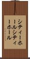 シティーホール Scroll
