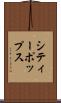 シティー・ポップス Scroll
