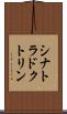 シナトラドクトリン Scroll