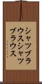 シャツブラウス Scroll