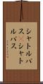 シャトルバス(P) Scroll