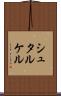 シュタルケル Scroll