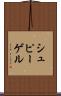 シュピーゲル Scroll
