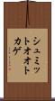シュミットオオトカゲ Scroll