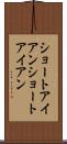 ショートアイアン Scroll
