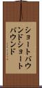 ショートバウンド Scroll