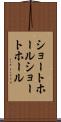 ショートホール Scroll