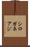 シロガネアジ Scroll