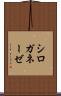 シロガネーゼ Scroll