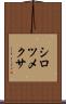 シロツメクサ Scroll