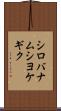 シロバナムシヨケギク Scroll