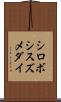 シロボシスズメダイ Scroll