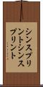 シンスプリント Scroll