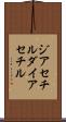 ジアセチル Scroll