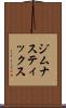 ジムナスティックス Scroll