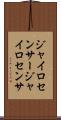 ジャイロセンサー Scroll