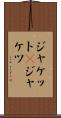 ジャケット(P) Scroll