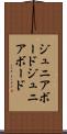ジュニアボード Scroll